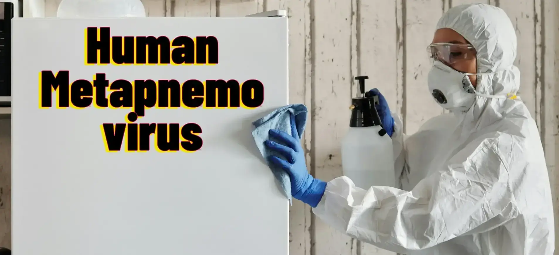 Human Metapneumovirus