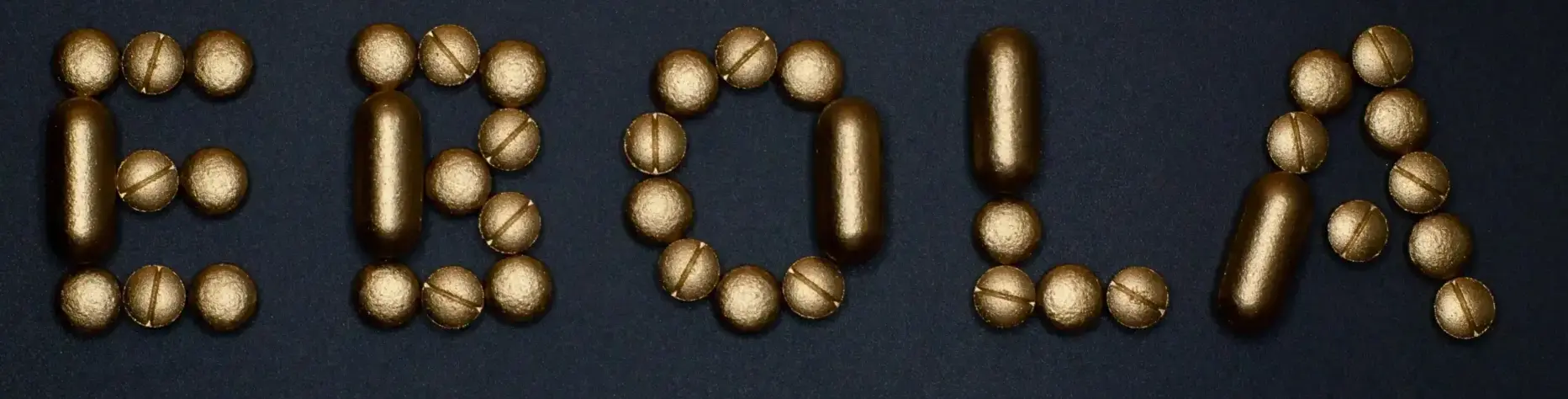 Ebola Prevention and Control