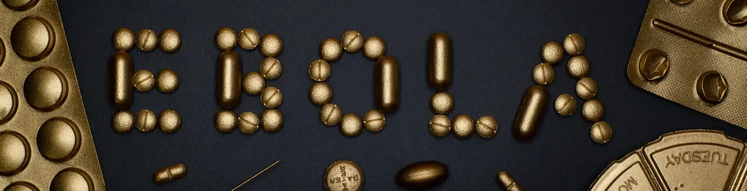 Ebola Virus Disease (EVD)